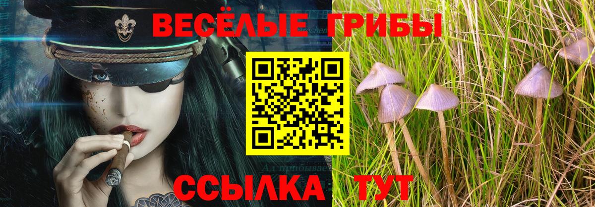 Галлюциногенные грибы мицелий Кулебаки