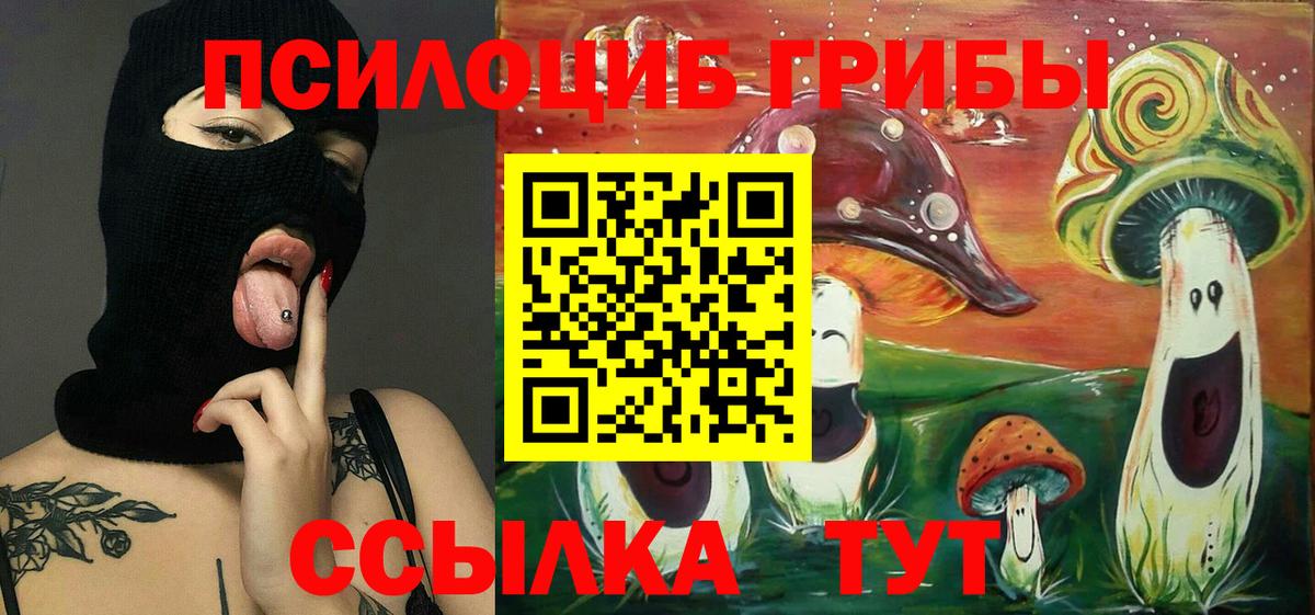 Кулебаки  Галлюциногенные грибы Magic Shrooms  Вход с VPN  Псилоцибиновые грибы Cubensis 